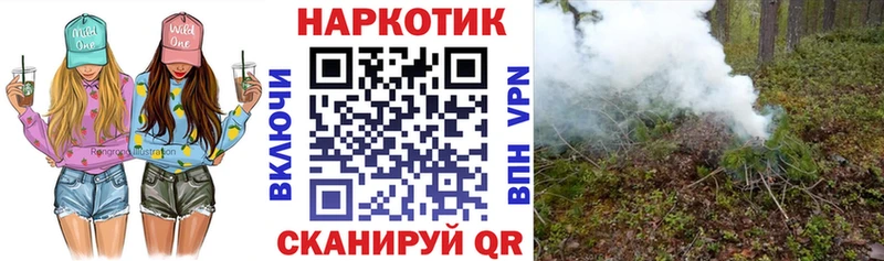 Где купить наркотики Елизаветинская ГАШ  Кокаин  Alpha PVP  Меф 